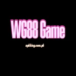 WG88 Game