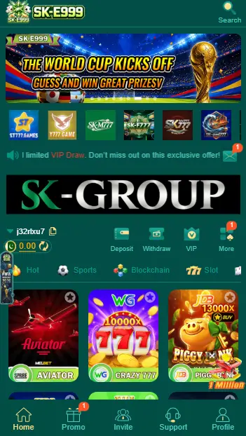 SKE999- Game