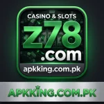 Z78-game