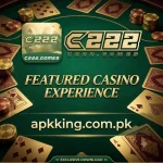 C222 Game