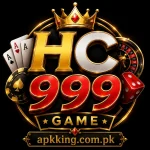 HC999 Game
