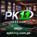 PK11 Game