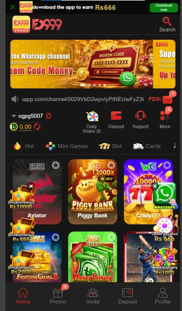 FD999 Game
